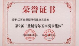 盐城环保最新爆料,揭秘污染真相与治理进展