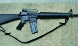 枪械模组最新爆料下载,揭秘未来战场利器